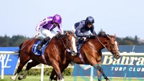 James Doyle booked for Diego Velazquez Trophy bid