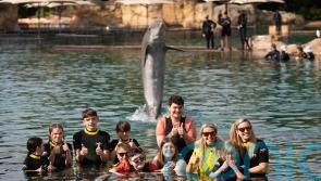 Children tell of growing in confidence on charity’s ‘dream’ Florida holiday