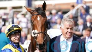Kingscote pays tribute to Derby hero Desert Crown