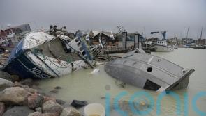 Life on Earth ‘under siege’ from humans, say scientists