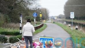‘Erratic fluctuation of Fitbit data’ minutes before Ashling Murphy’s death