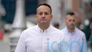 Ireland has no plans to expel Israeli ambassador, Varadkar insists