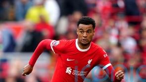 Cody Gakpo in line for return to Liverpool line-up against Toulouse