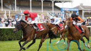 Big-money buy Rogue Lightning to return for 2024 sprint campaign