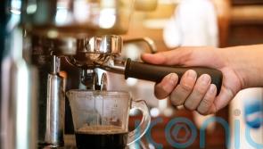 Coffee shop and theme park workers among jobs with highest LGB+ representation