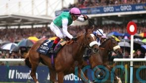 Classic victor Chaldean retired to stud