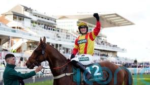 Lookaway set to play leading role in Cheltenham feature