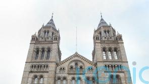 Just Stop Oil activists held after paint protest at Natural History Museum