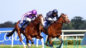 Diego Velazquez highlights eight contenders for Futurity Trophy