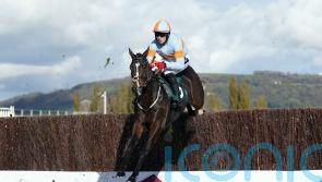 Cromwell records double with smart prospects at Cheltenham
