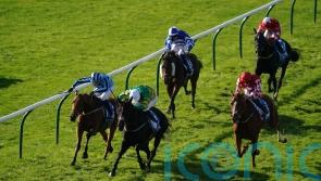 Tashkhan out to replicate Newmarket form in Prix Royal-Oak