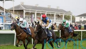 Ballymount Boy looks hot Prospect at Doncaster