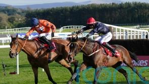 Fastorslow set for Durkan rematch with Galopin Des Champs