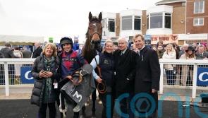Datsalrightgino heading for Coral Gold Cup