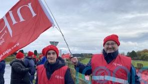 Daera ‘acting to mitigate’ as workers at ports and meat factories strike