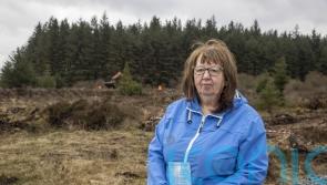 I’ll never give up hope his body will be found, says sister of Columba McVeigh