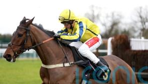 Cheltenham or Sandown under consideration for Haddex