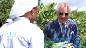 King picks farm produce during state visit to Kenya