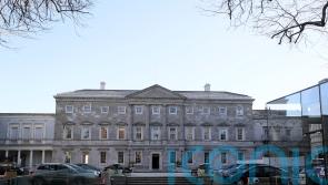 Just 36% of people trust TDs to tell truth, survey finds