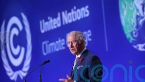 King to attend Cop28 after missing last year&rsquo;s climate change conference