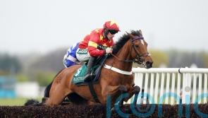 McCain prefers Pattern-race options for Minella Drama
