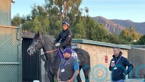 King Of Steel could be Classic-bound this time next year