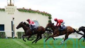 Bradsell scratched from Turf Sprint