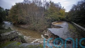 Extension of Irish flood payment scheme to be considered by Cabinet