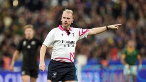 Rugby World Cup final referee Wayne Barnes announces retirement