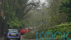Storm Ciaran forces school closures and brings travel chaos after 100mph winds