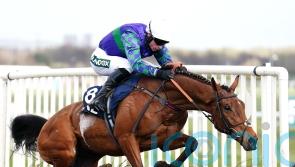 Staying stalwart Thyme Hill returns to action over hurdles