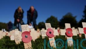 Veteran ‘humbled’ as largest field of remembrance opened by Royal British Legion