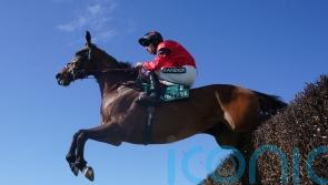 Ahoy Senor and Bravemansgame in good shape for Wetherby showdown