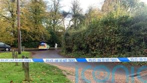 Boy dies and second child hurt as vehicle collides with them during school run