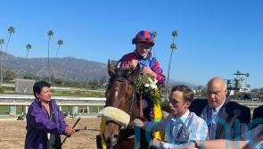 Big Evs powers home for Juvenile Turf Sprint title