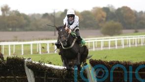 Mighty Quinn steers Botox Has to big win