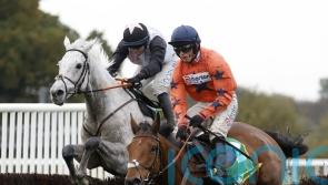 Gentlemansgame swoops late for Charlie Hall triumph