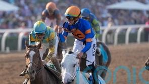 White Abarrio collects Breeders’ Cup Classic gold