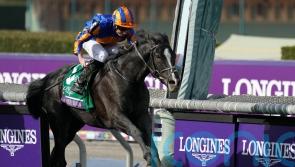 ‘Dream horse’ Auguste Rodin roars to Breeders’ Cup Turf glory