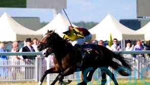 Burdett Road road impresses with winning hurdles debut