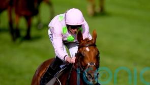 Vauban team optimistic ahead of his Melbourne Cup tilt