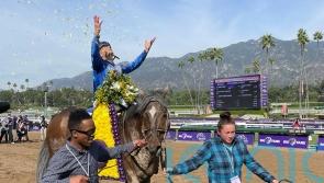 Racing rocked by death of Cody Dorman