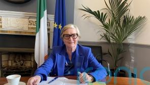 Frances Fitzgerald will not contest European Parliament elections