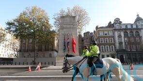 Sunak backs police to tackle criminality amid objections to Armistice Day demo