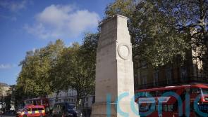 Pro-Palestinian groups defy police calls to call off Armistice Day march