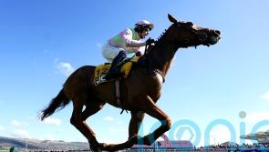 Mullins’ Melbourne challenge ends in Vauban disappointment