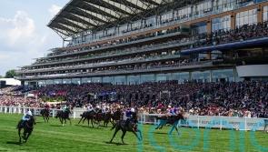 Valiant Force to remain in America following big Cup run