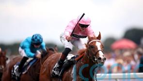 West already dreaming of Breeders’ Cup return