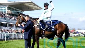 Constitution Hill’s return edges nearer as Fighting Fifth entries revealed