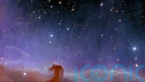 Shimmering galaxies revealed in new photos taken by European space telescope